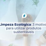 Dicas de Limpeza Ecológica para Manter a Casa Brilhando